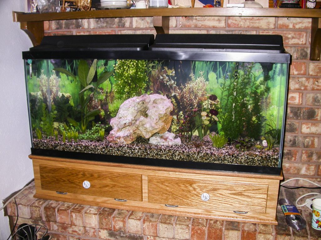 Fish Tank Stand / Cabinet